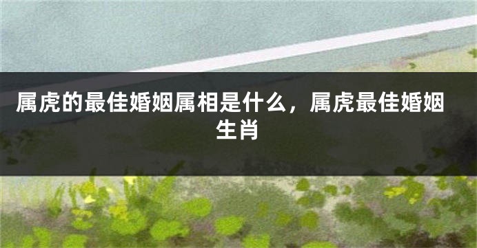 属虎的最佳婚姻属相是什么，属虎最佳婚姻生肖