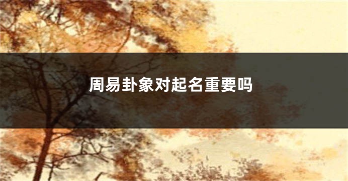 周易卦象对起名重要吗