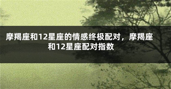 摩羯座和12星座的情感终极配对，摩羯座和12星座配对指数
