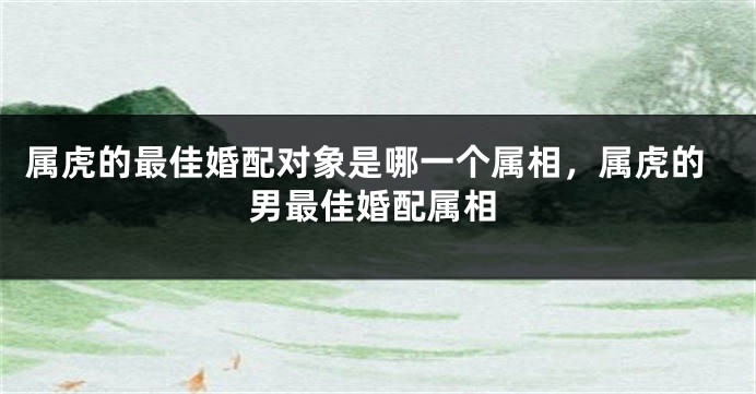属虎的最佳婚配对象是哪一个属相，属虎的男最佳婚配属相