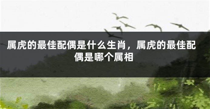 属虎的最佳配偶是什么生肖，属虎的最佳配偶是哪个属相