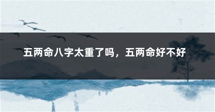 五两命八字太重了吗，五两命好不好