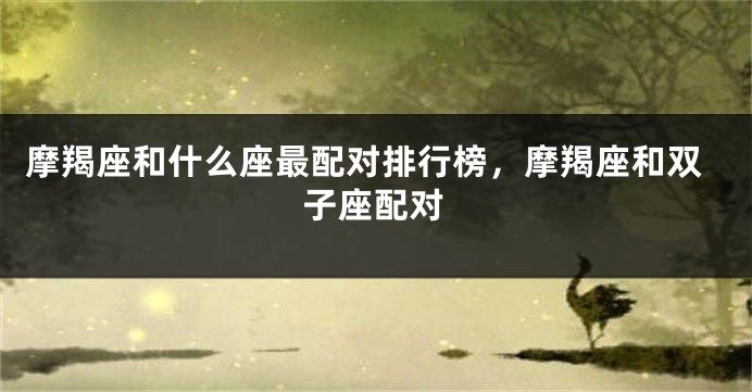 摩羯座和什么座最配对排行榜，摩羯座和双子座配对