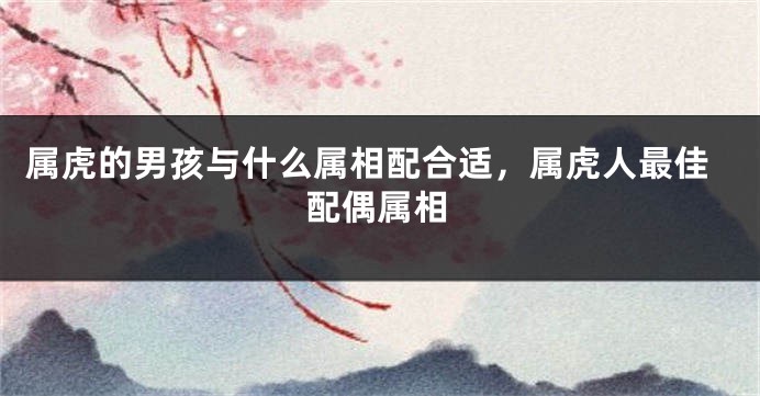 属虎的男孩与什么属相配合适，属虎人最佳配偶属相