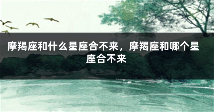 摩羯座和什么星座合不来，摩羯座和哪个星座合不来