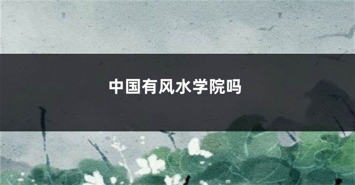 中国有风水学院吗