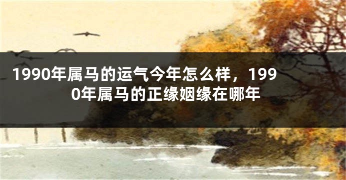 1990年属马的运气今年怎么样，1990年属马的正缘姻缘在哪年