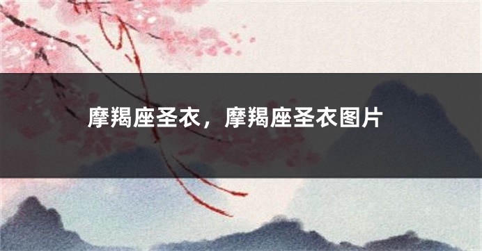 摩羯座圣衣，摩羯座圣衣图片