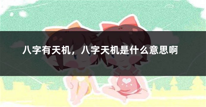 八字有天机，八字天机是什么意思啊