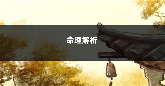 命理解析