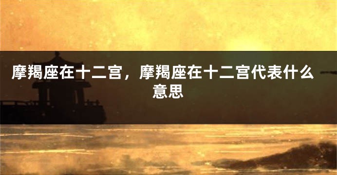 摩羯座在十二宫，摩羯座在十二宫代表什么意思