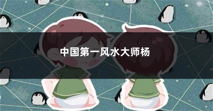 中国第一风水大师杨