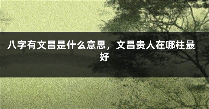 八字有文昌是什么意思，文昌贵人在哪柱最好