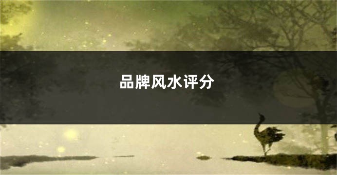 品牌风水评分