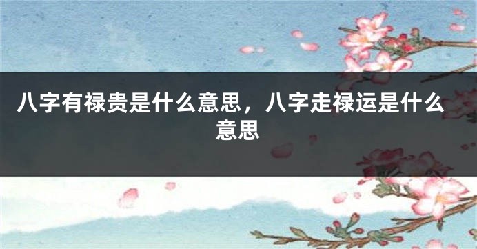 八字有禄贵是什么意思,八字走禄运是什么意思