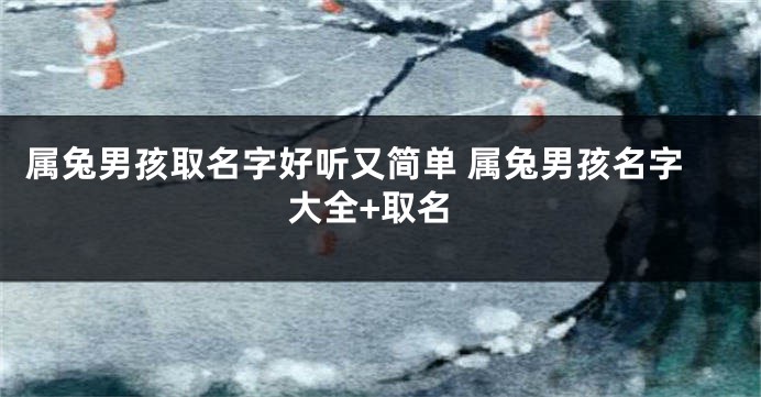 属兔男孩取名字好听又简单 属兔男孩名字大全+取名