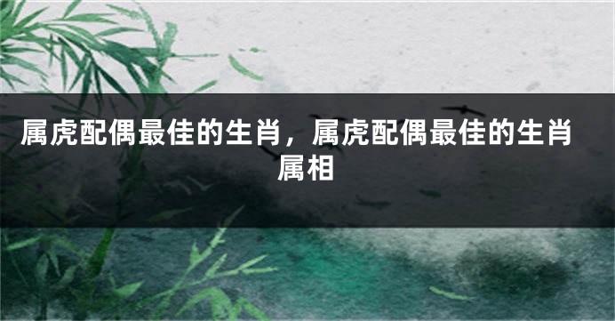属虎配偶最佳的生肖，属虎配偶最佳的生肖属相