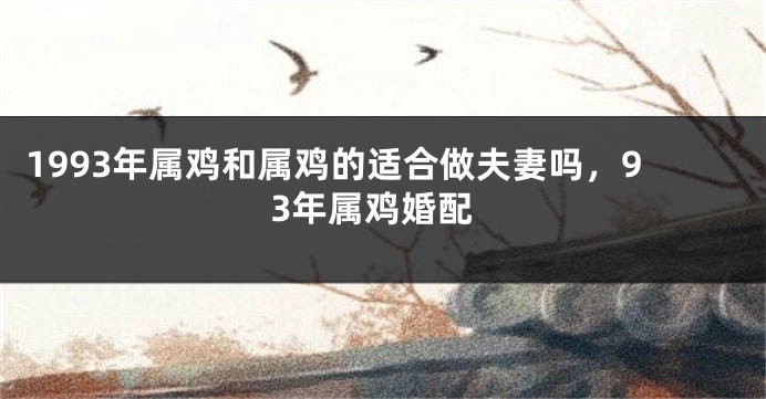 1993年属鸡和属鸡的适合做夫妻吗，93年属鸡婚配