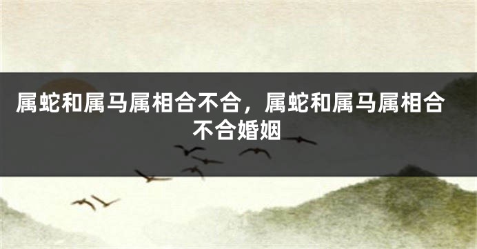 属蛇和属马属相合不合，属蛇和属马属相合不合婚姻