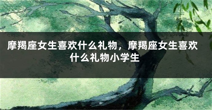 摩羯座女生喜欢什么礼物，摩羯座女生喜欢什么礼物小学生