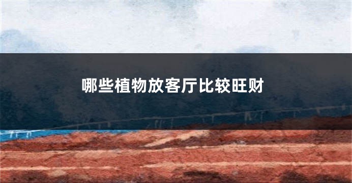 哪些植物放客厅比较旺财