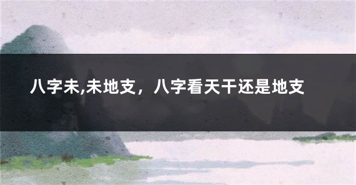 八字未,未地支，八字看天干还是地支