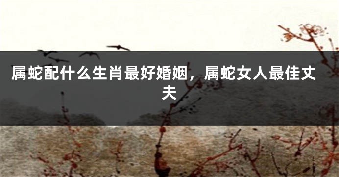 属蛇配什么生肖最好婚姻，属蛇女人最佳丈夫