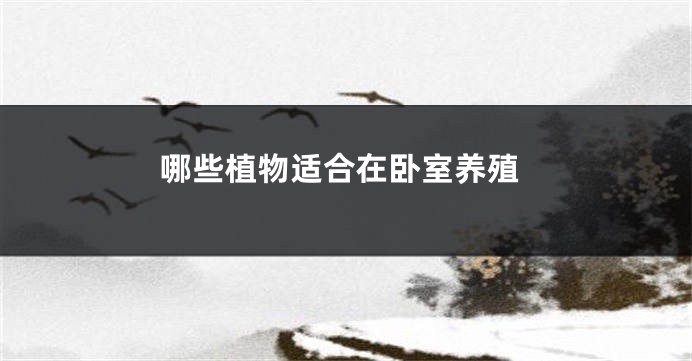 哪些植物适合在卧室养殖