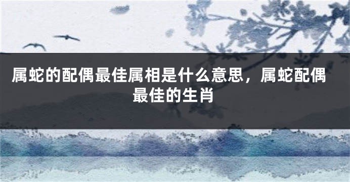 属蛇的配偶最佳属相是什么意思，属蛇配偶最佳的生肖