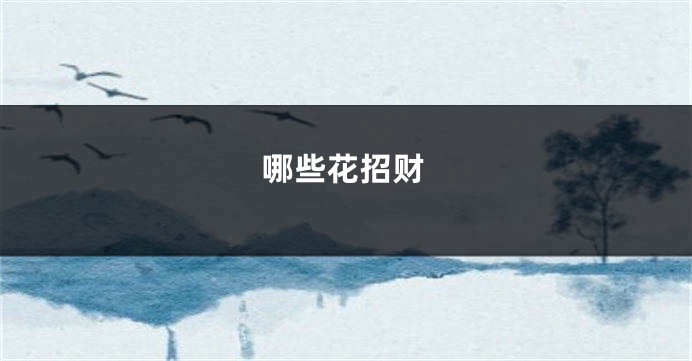 哪些花招财