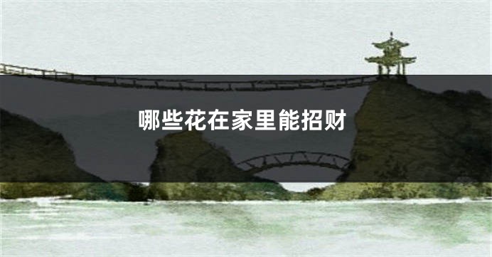 哪些花在家里能招财