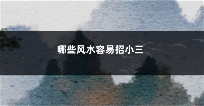 哪些风水容易招小三