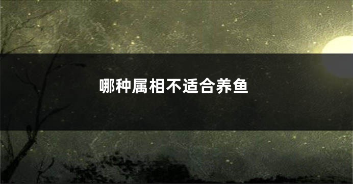 哪种属相不适合养鱼