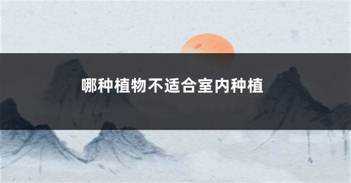 哪种植物不适合室内种植