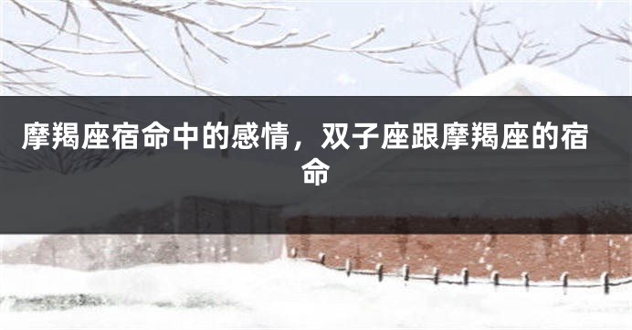 摩羯座宿命中的感情，双子座跟摩羯座的宿命