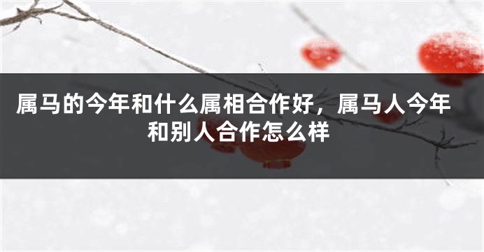 属马的今年和什么属相合作好，属马人今年和别人合作怎么样