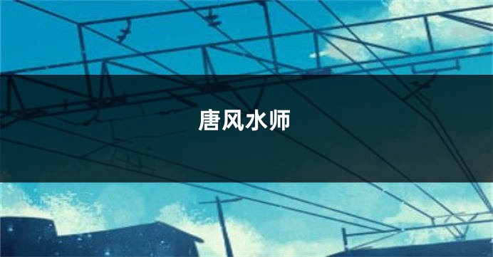 唐风水师