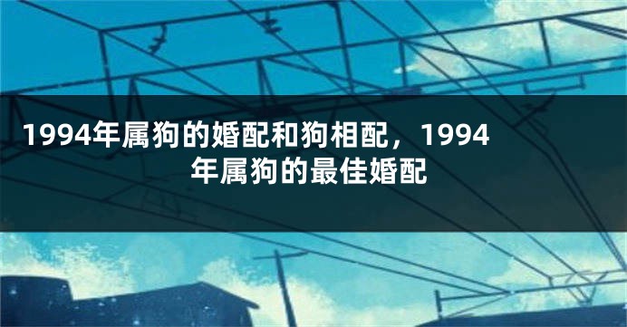 1994年属狗的婚配和狗相配，1994年属狗的最佳婚配