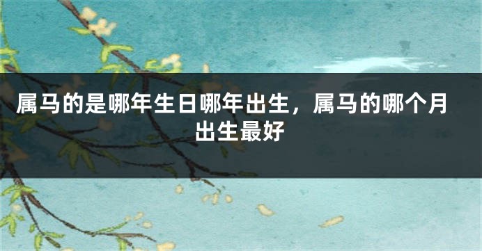 属马的是哪年生日哪年出生，属马的哪个月出生最好