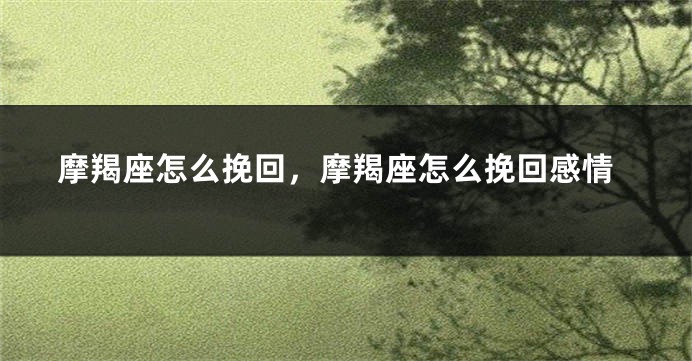 摩羯座怎么挽回，摩羯座怎么挽回感情