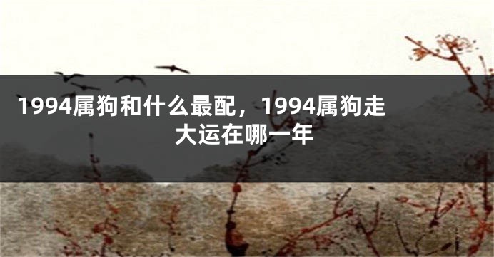1994属狗和什么最配，1994属狗走大运在哪一年