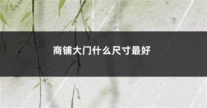 商铺大门什么尺寸最好