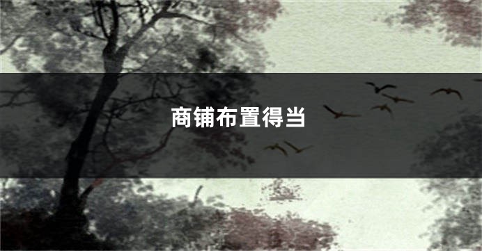 商铺布置得当