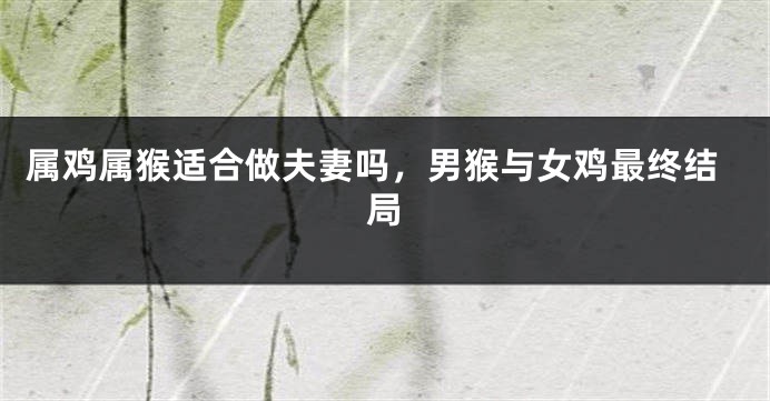 属鸡属猴适合做夫妻吗，男猴与女鸡最终结局