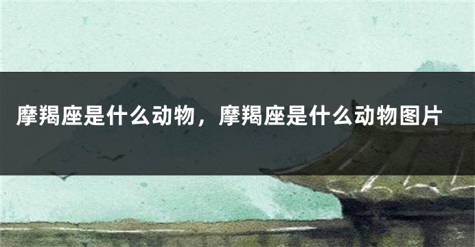 摩羯座是什么动物，摩羯座是什么动物图片