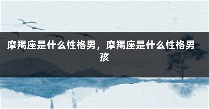 摩羯座是什么性格男，摩羯座是什么性格男孩