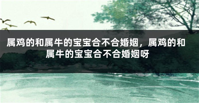 属鸡的和属牛的宝宝合不合婚姻，属鸡的和属牛的宝宝合不合婚姻呀
