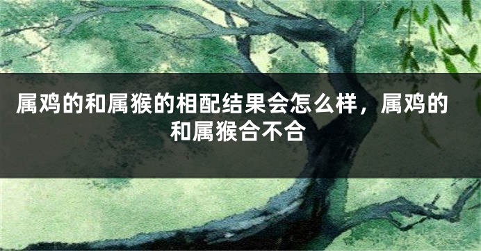 属鸡的和属猴的相配结果会怎么样，属鸡的和属猴合不合