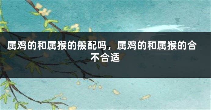 属鸡的和属猴的般配吗，属鸡的和属猴的合不合适