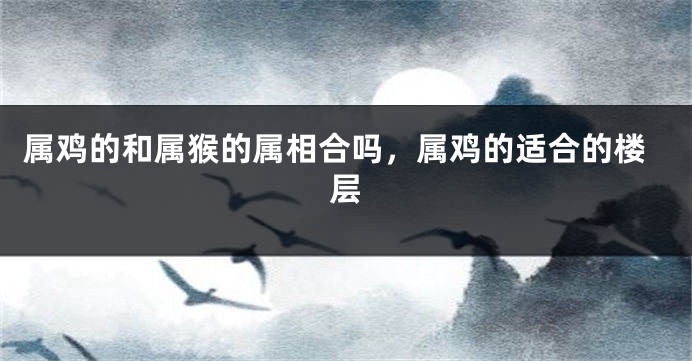 属鸡的和属猴的属相合吗，属鸡的适合的楼层